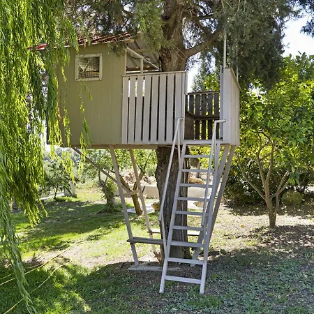 Monte Verde 103 ליקסורי